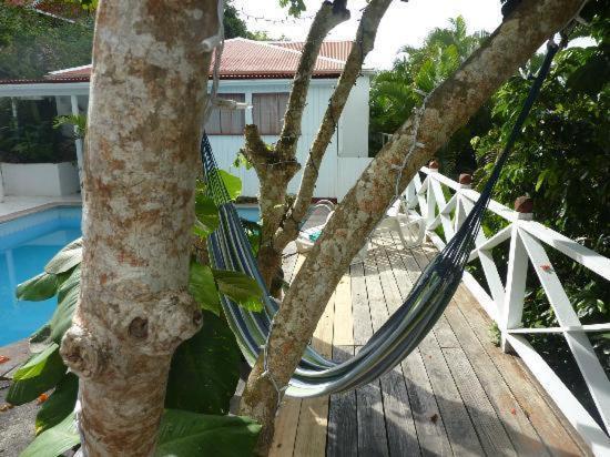 El Momo Cottages Windward Side Exteriör bild