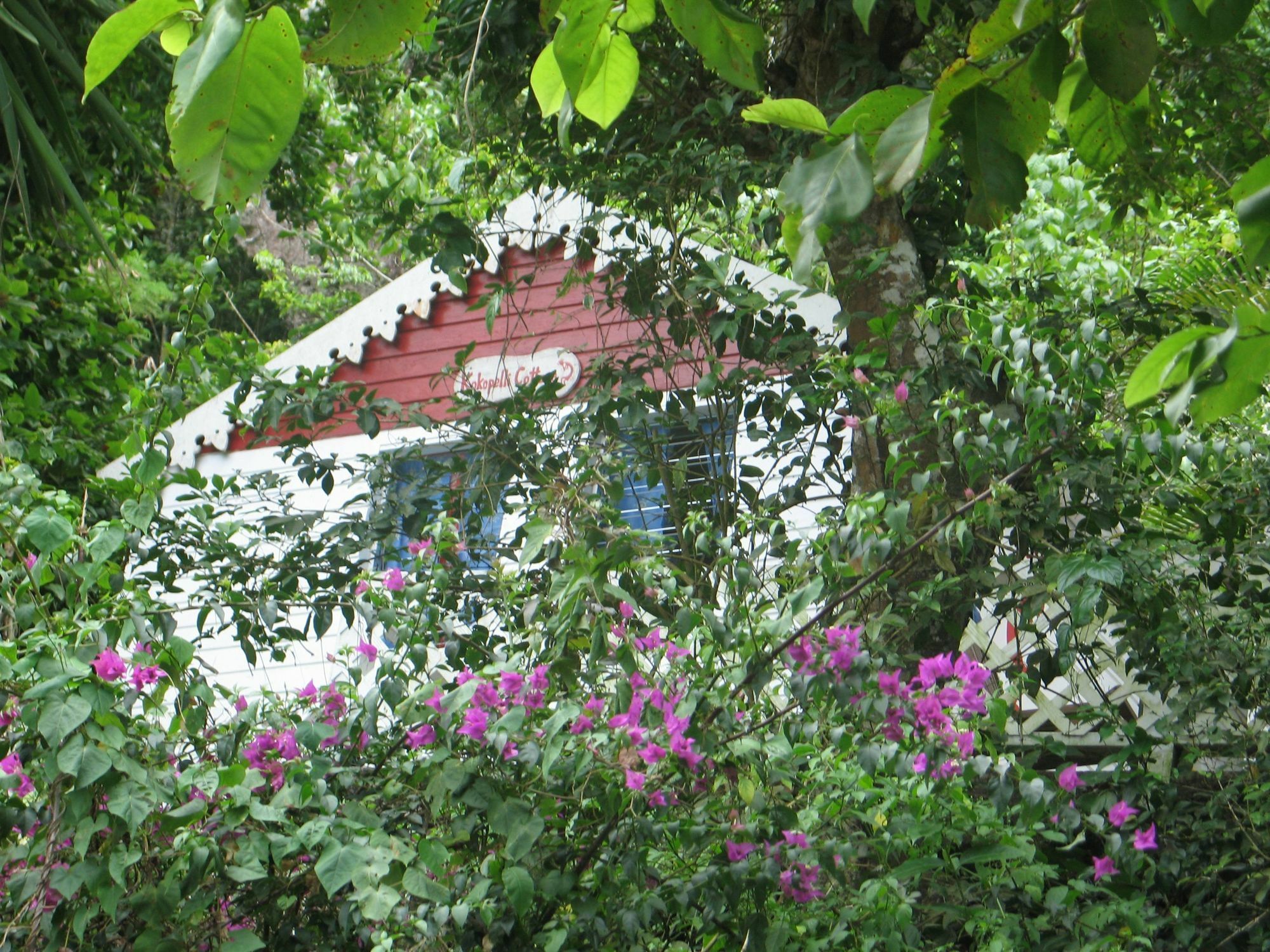 El Momo Cottages Windward Side Exteriör bild